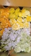 桐ヶ谷斎場での家族葬