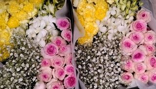 谷塚斎場での直葬