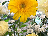 ウイングホール柏斎場の直葬