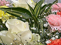 野田市関宿斎場の直葬