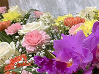 ウイングホール柏斎場の直葬