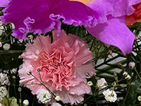 野田市関宿斎場の直葬