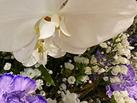 流山家族葬ホールの一般葬