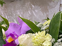 流山家族葬ホールの直葬