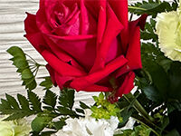 ウイングホール柏斎場の直葬