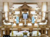 ウイングホール柏斎場の一日葬