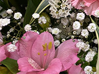 野田市斎場の直葬