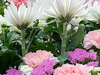 ウイングホール柏斎場の直葬