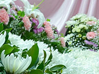 ウイングホール柏斎場の直葬