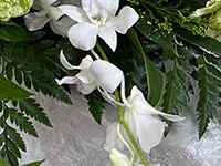 ウイングホール柏斎場の直葬