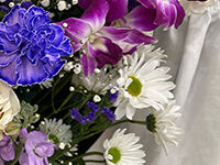 ウイングホール柏斎場の直葬