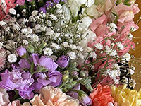 ウイングホール柏斎場の直葬