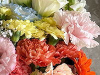 流山家族葬ホールの直葬