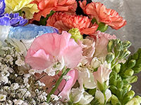 ウイングホール柏斎場の直葬