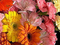 流山家族葬ホールの直葬