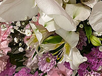 ウイングホール柏斎場の直葬