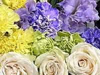 ウイングホール柏斎場の直葬