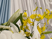 野田市斎場の直葬