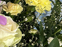 ウイングホール柏斎場の直葬