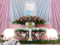 ウイングホール柏斎場の一日葬