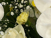 ウイングホール柏斎場の直葬