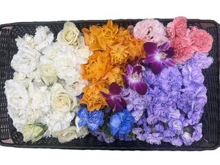 東京フューネラルの火葬式