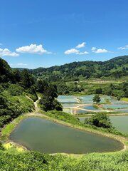新潟県長岡市から国分寺市への遺骨移送