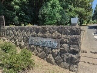 茅ヶ崎市斎場の一日葬