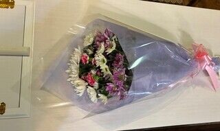 浦和斎場の一日葬