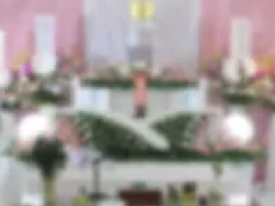 葬儀事例: ウイングホール柏斎場の一日葬