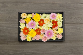 多摩葬儀の直葬