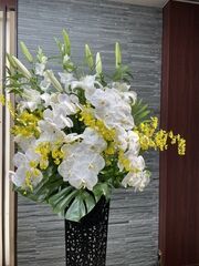 自宅から火葬式