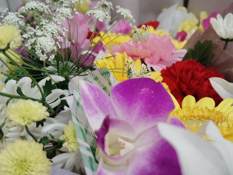 葬儀事例: 7人で無宗教の家族葬