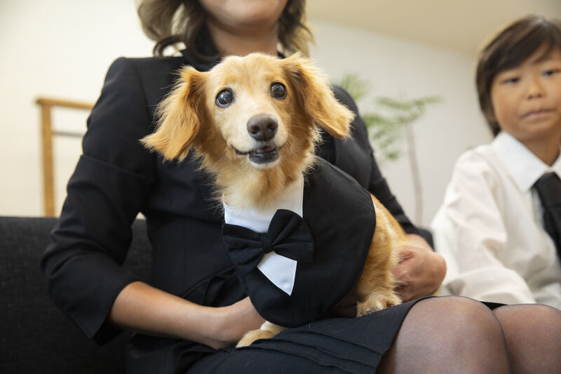 ユアホールおばやし 