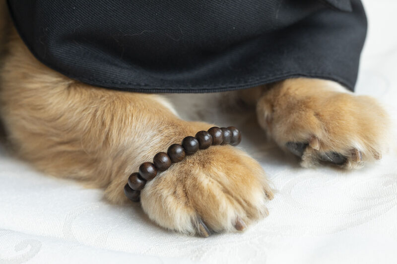 ユアホール蛍池 