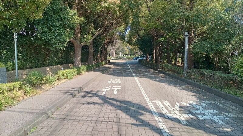 平塚市聖苑 聖苑へ抜ける並木道