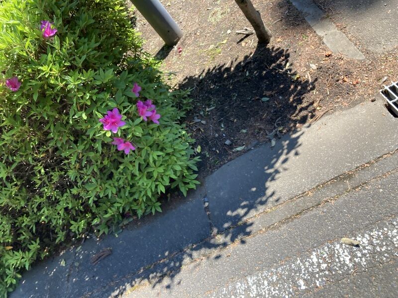 那珂聖苑 庭
