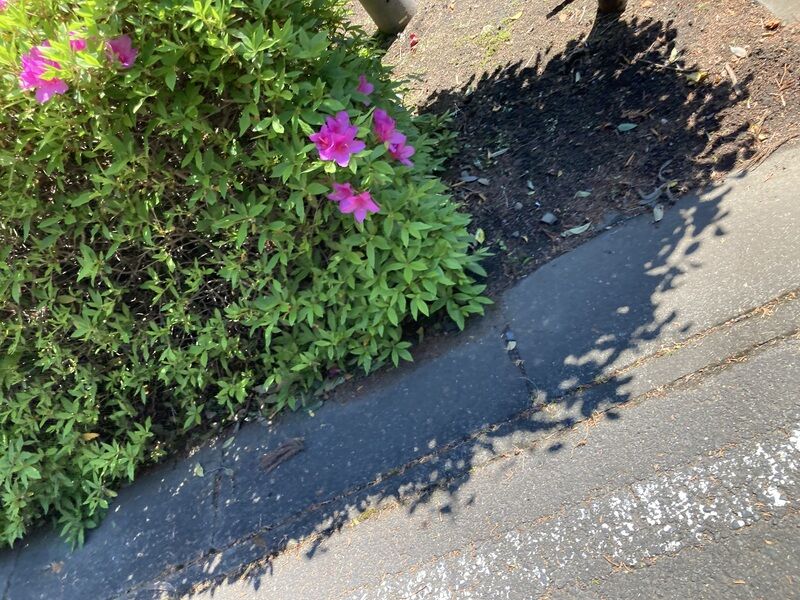 那珂聖苑 庭