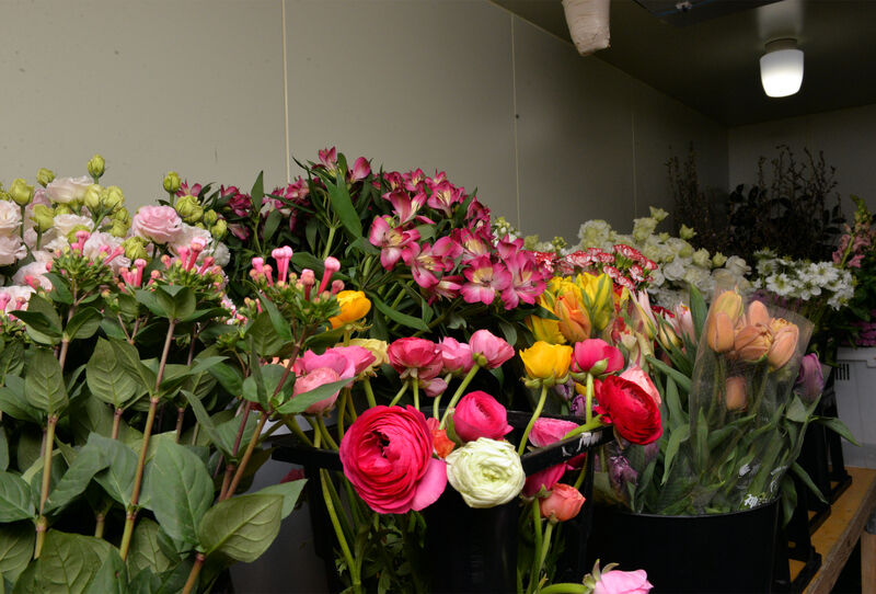 市場直送の生花