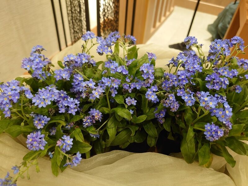 花祭壇