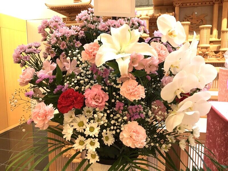 洋花生花
