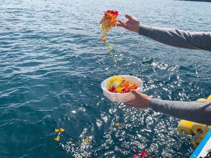 海洋散骨プラン有ります