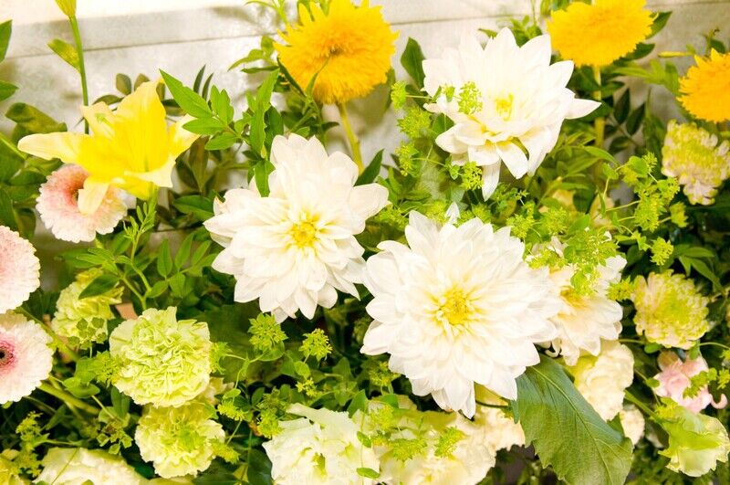 花で彩る一日葬のダリアが沢山