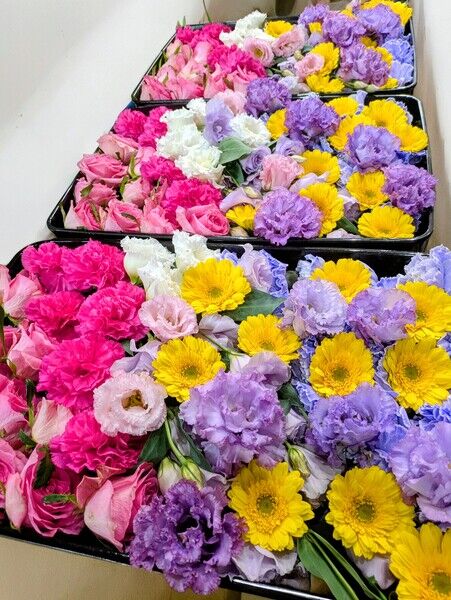 PXL_20251104_224821393~2