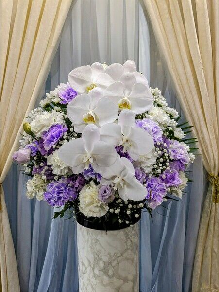 PXL_20241010_071824442~2