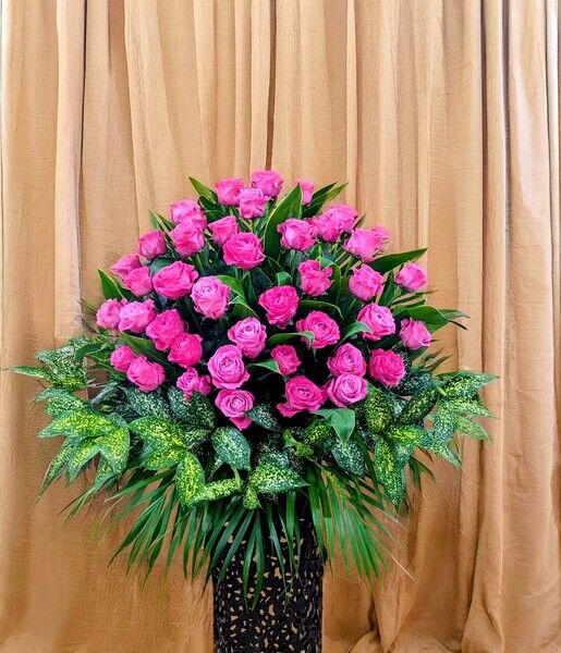 PXL_20241008_050137370~3