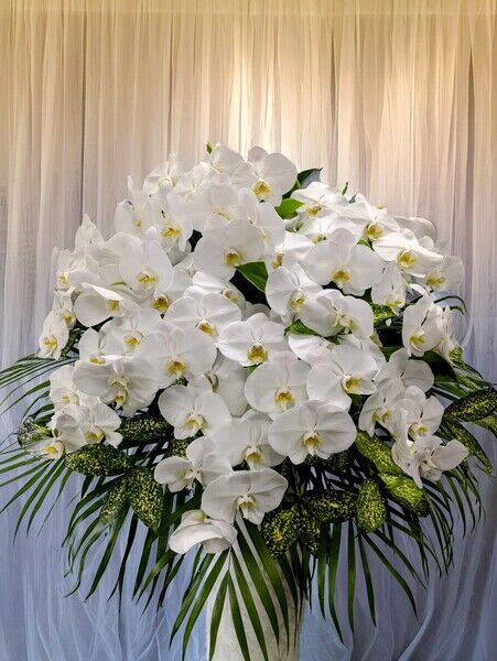 PXL_20241010_072039983~2