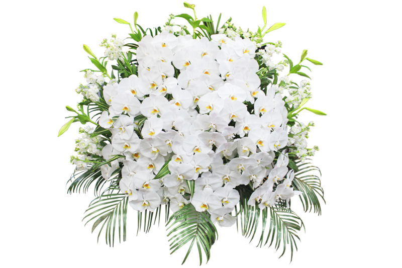 【供花（胡蝶蘭）】