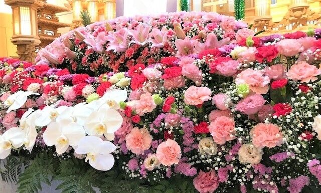 洋花生花祭壇イメージ
