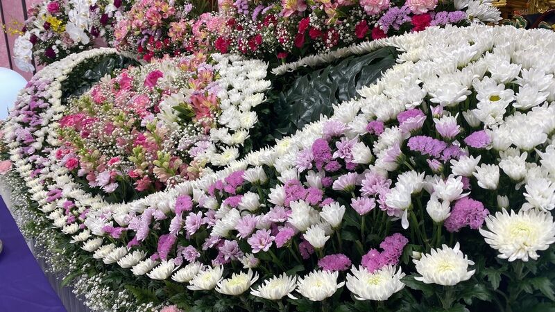 芦屋　家族葬